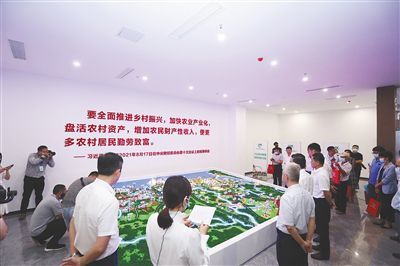 海口农村产权交易中心正式上线运营 开启信息技术服务新篇章